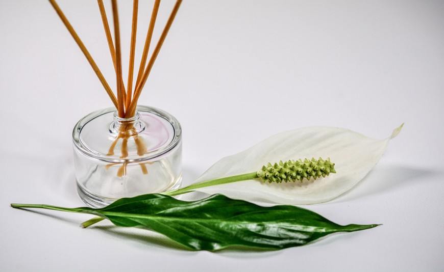 Quelle différence entre une huile végétale et une huile essentielle